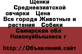 Щенки Среднеазиатской овчарки › Цена ­ 30 000 - Все города Животные и растения » Собаки   . Самарская обл.,Новокуйбышевск г.